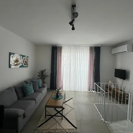 Penthouse Apartment